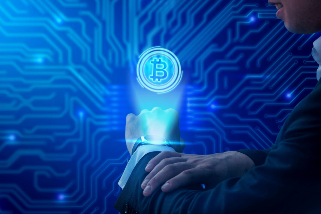 bitzoy